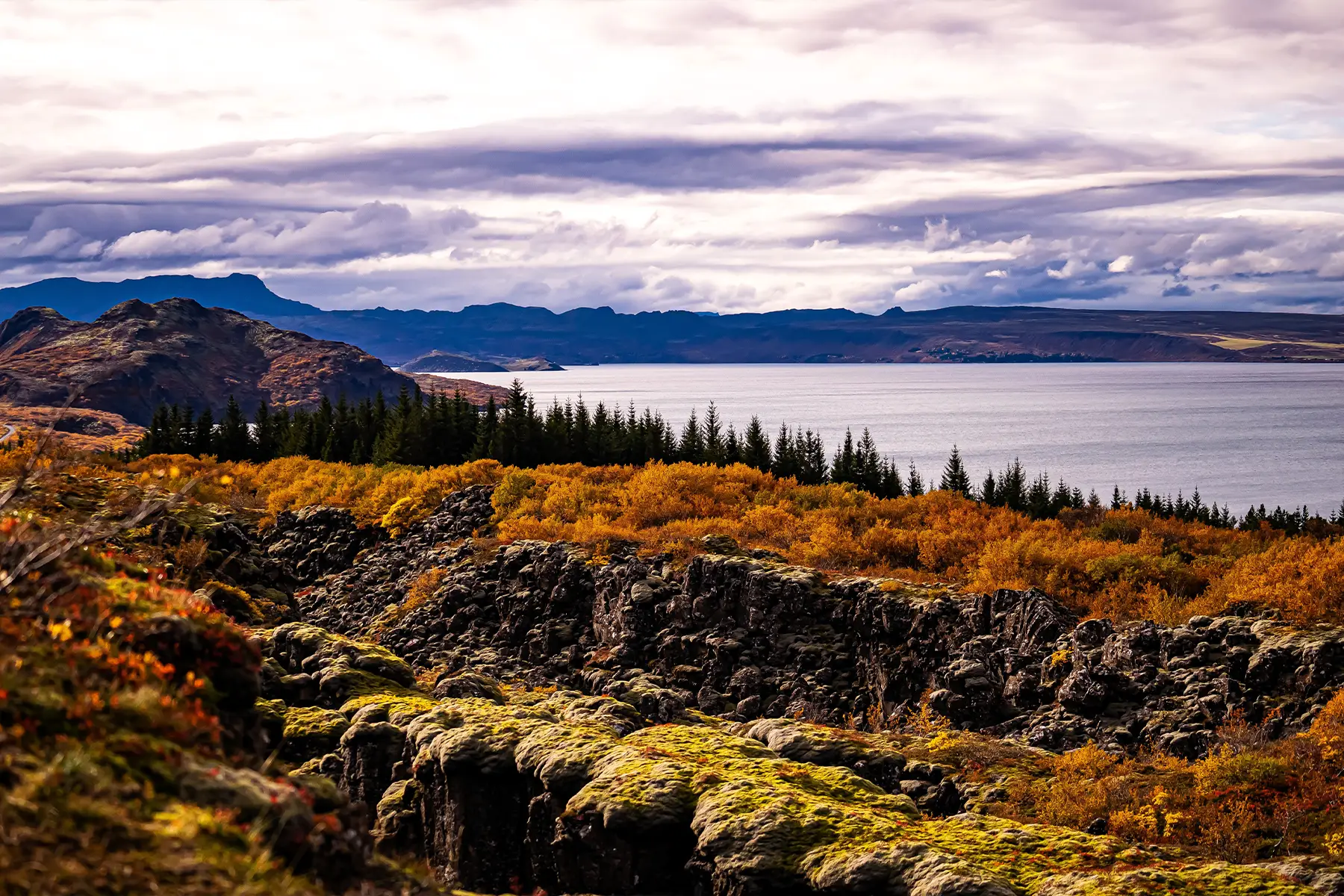 natural park golden circle tour